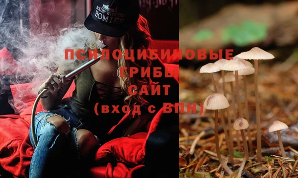 гидропоника Новокубанск